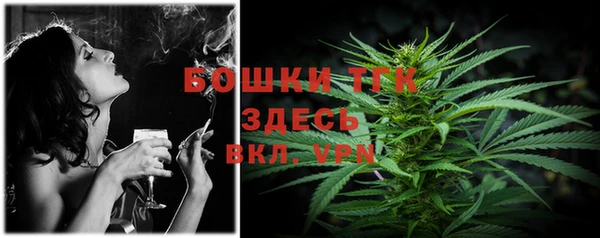 прущая мука Вяземский