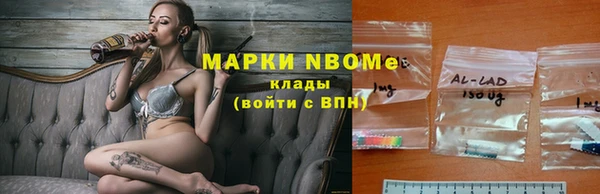 мяу мяу мука Пролетарск