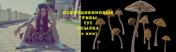 прущая мука Вяземский