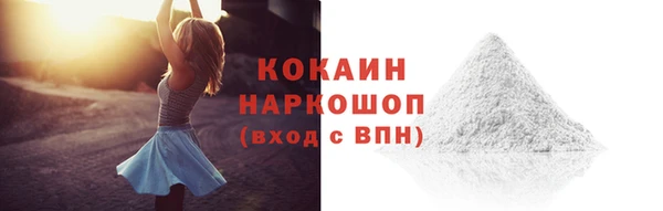 прущая мука Вяземский