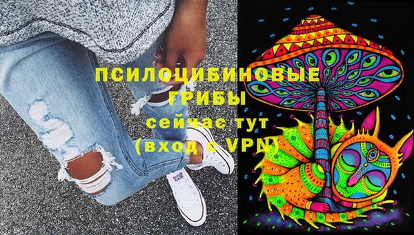 соль ск Вязники